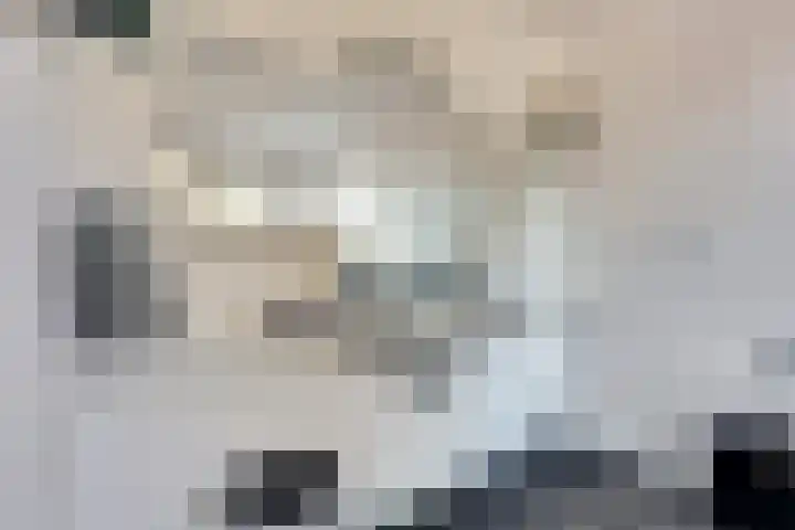 Bachdreef 11 Harderwijk thumbnail 26