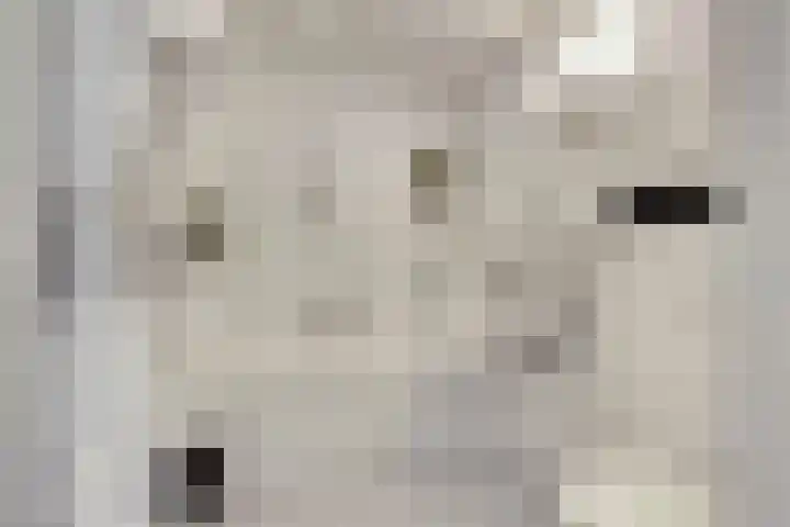 Bachdreef 11 Harderwijk thumbnail 28