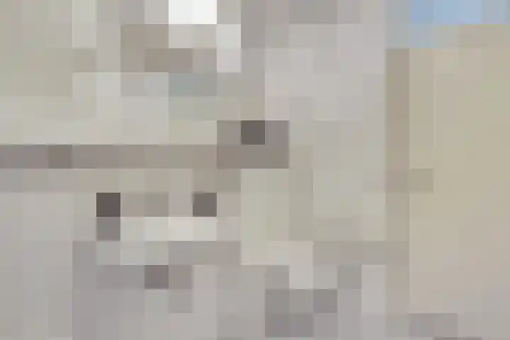 Bachdreef 11 Harderwijk thumbnail 29
