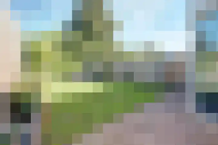 Bachdreef 11 Harderwijk thumbnail 38