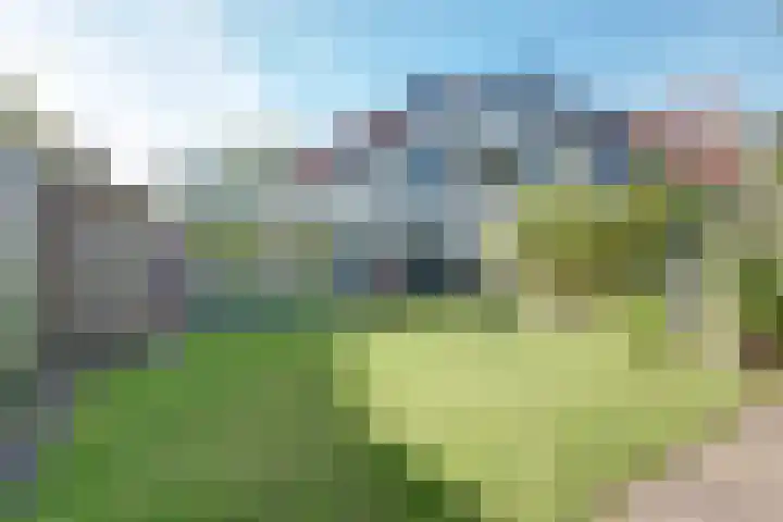 Bachdreef 11 Harderwijk thumbnail 4