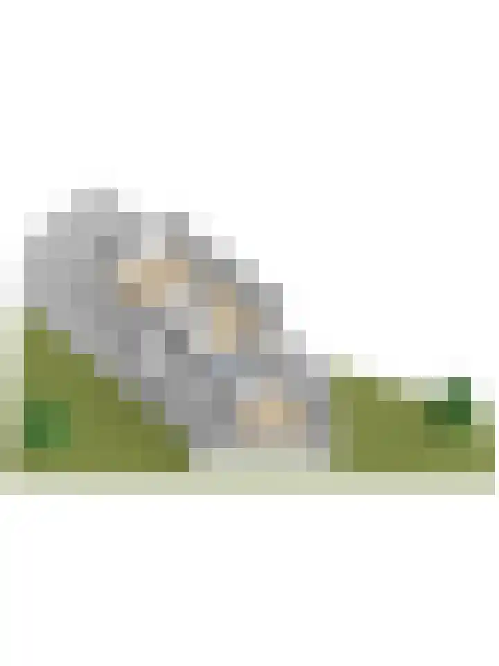 Bachdreef 11 Harderwijk thumbnail 54