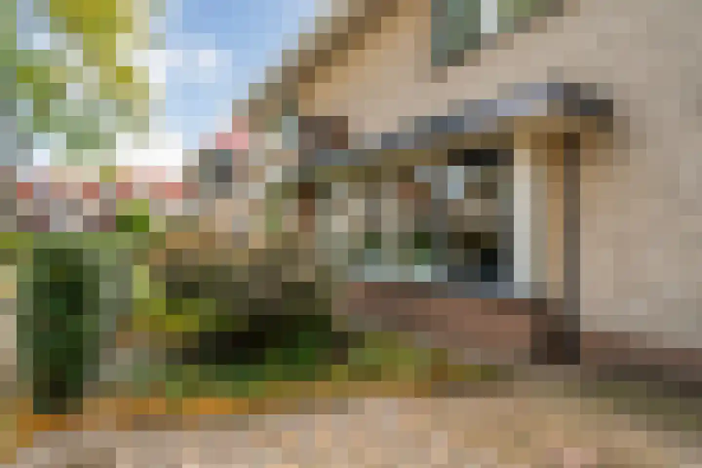 Bachdreef 12 Harderwijk thumbnail 12