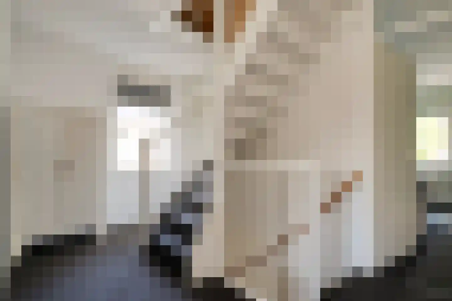 Bachdreef 12 Harderwijk thumbnail 32