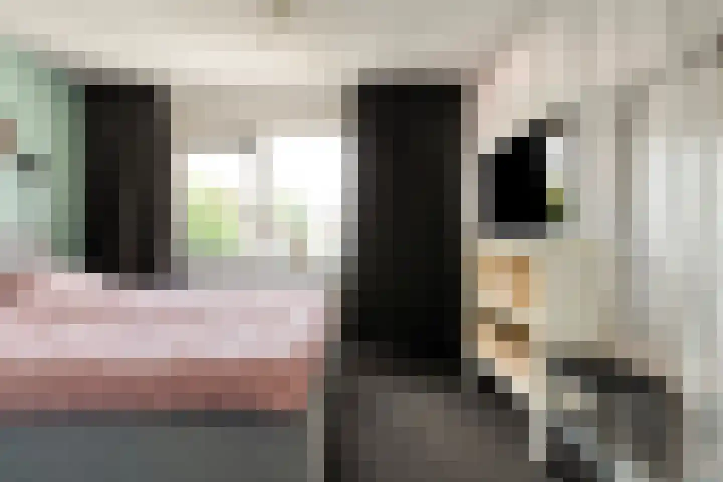 Bachdreef 12 Harderwijk thumbnail 35