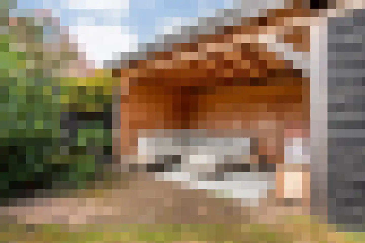 Bachdreef 12 Harderwijk thumbnail 47