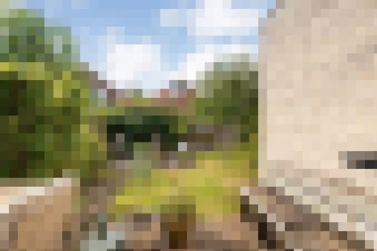 Bachdreef 12 Harderwijk thumbnail 51