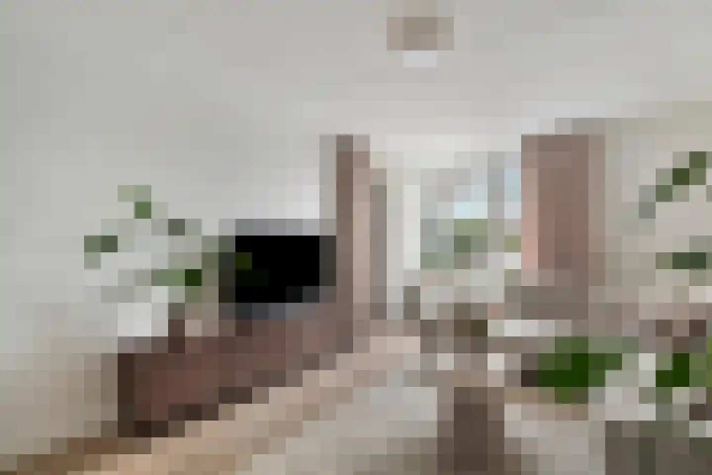 Bachdreef 39 Harderwijk thumbnail 12