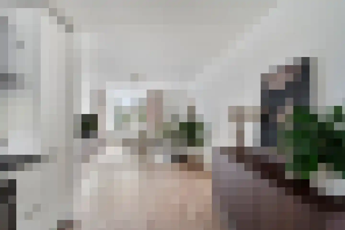 Bachdreef 39 Harderwijk thumbnail 21