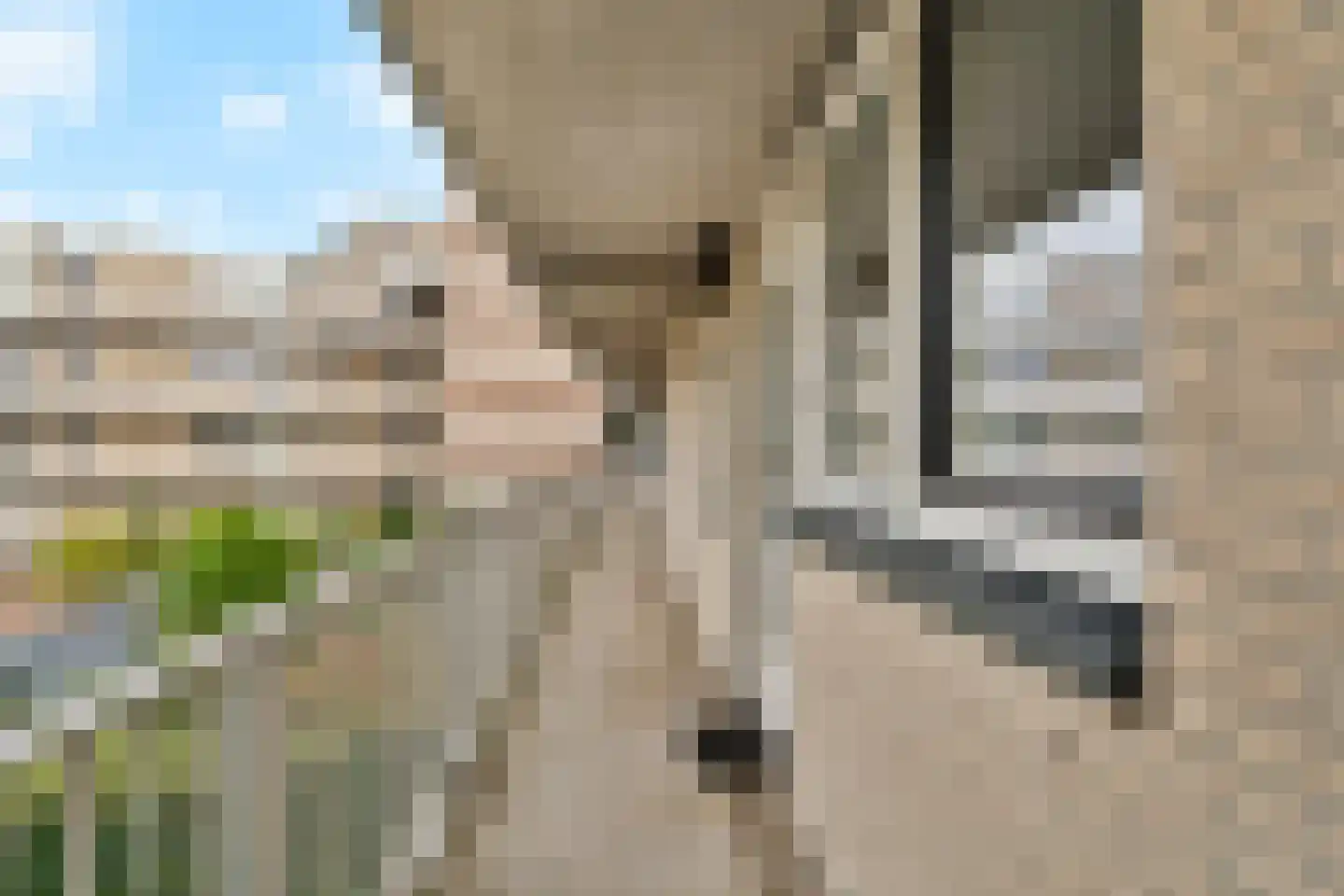 Bachdreef 39 Harderwijk thumbnail 29