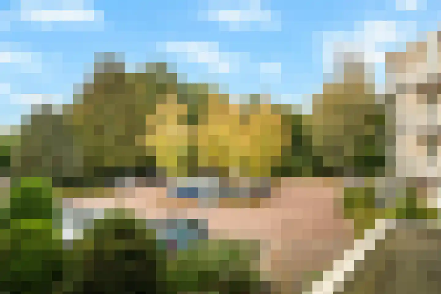 Bachdreef 39 Harderwijk thumbnail 34