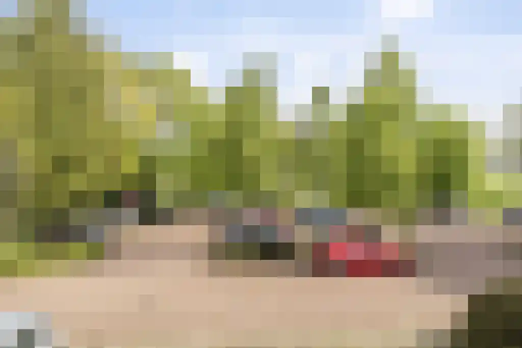 Bachdreef 39 Harderwijk thumbnail 35