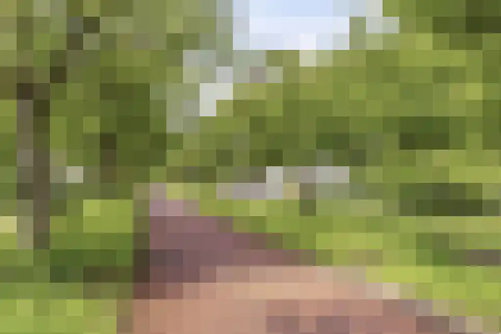 Bachdreef 39 Harderwijk thumbnail 37