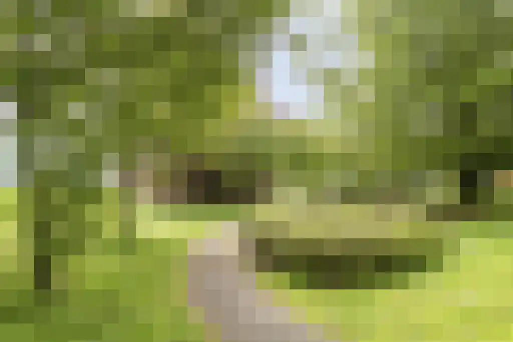 Bachdreef 39 Harderwijk thumbnail 38