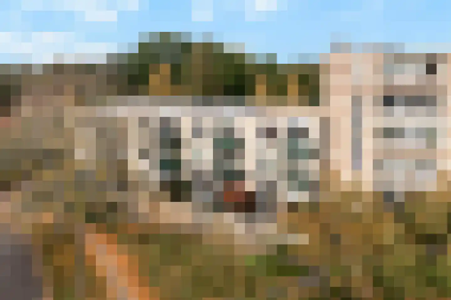 Bachdreef 39 Harderwijk thumbnail 39