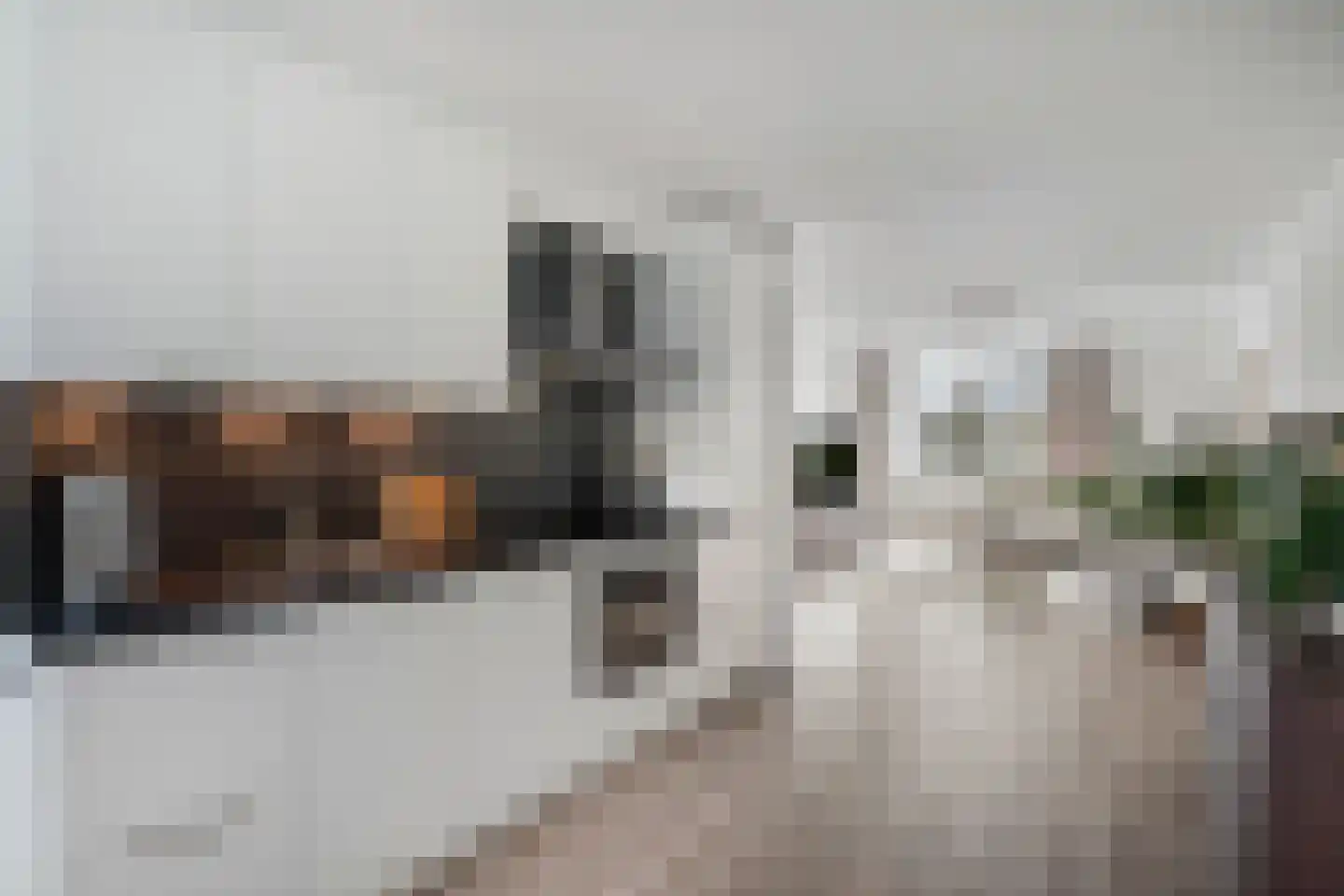 Bachdreef 39 Harderwijk thumbnail 4