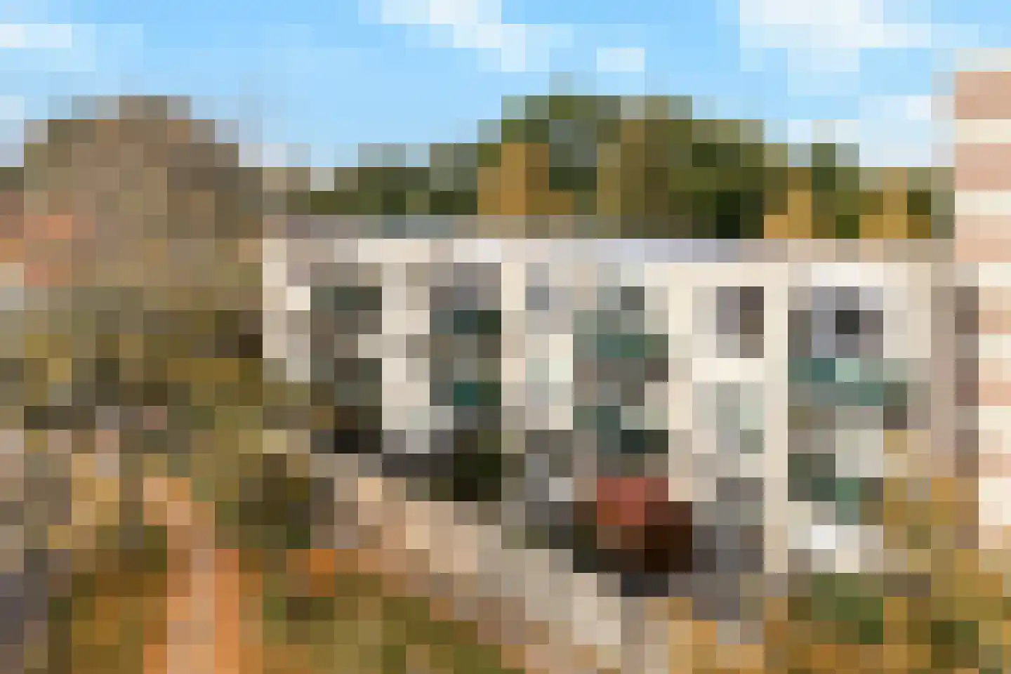 Bachdreef 39 Harderwijk thumbnail 40