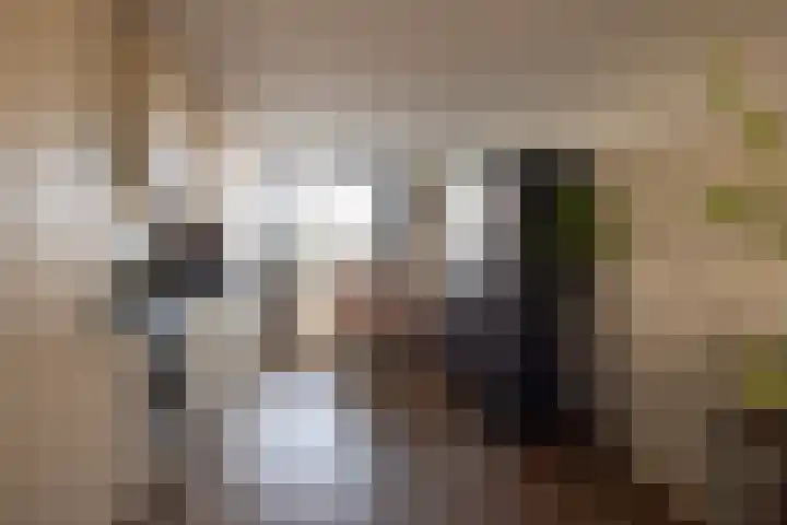 Bachdreef 69 Harderwijk thumbnail 4