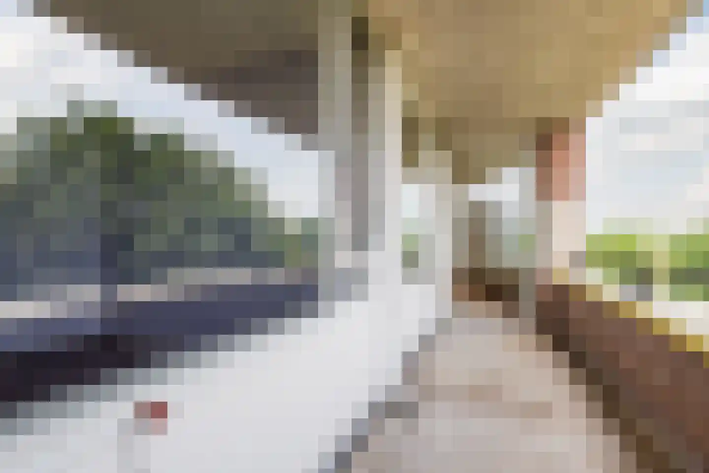 Bachdreef 87 Harderwijk thumbnail 28