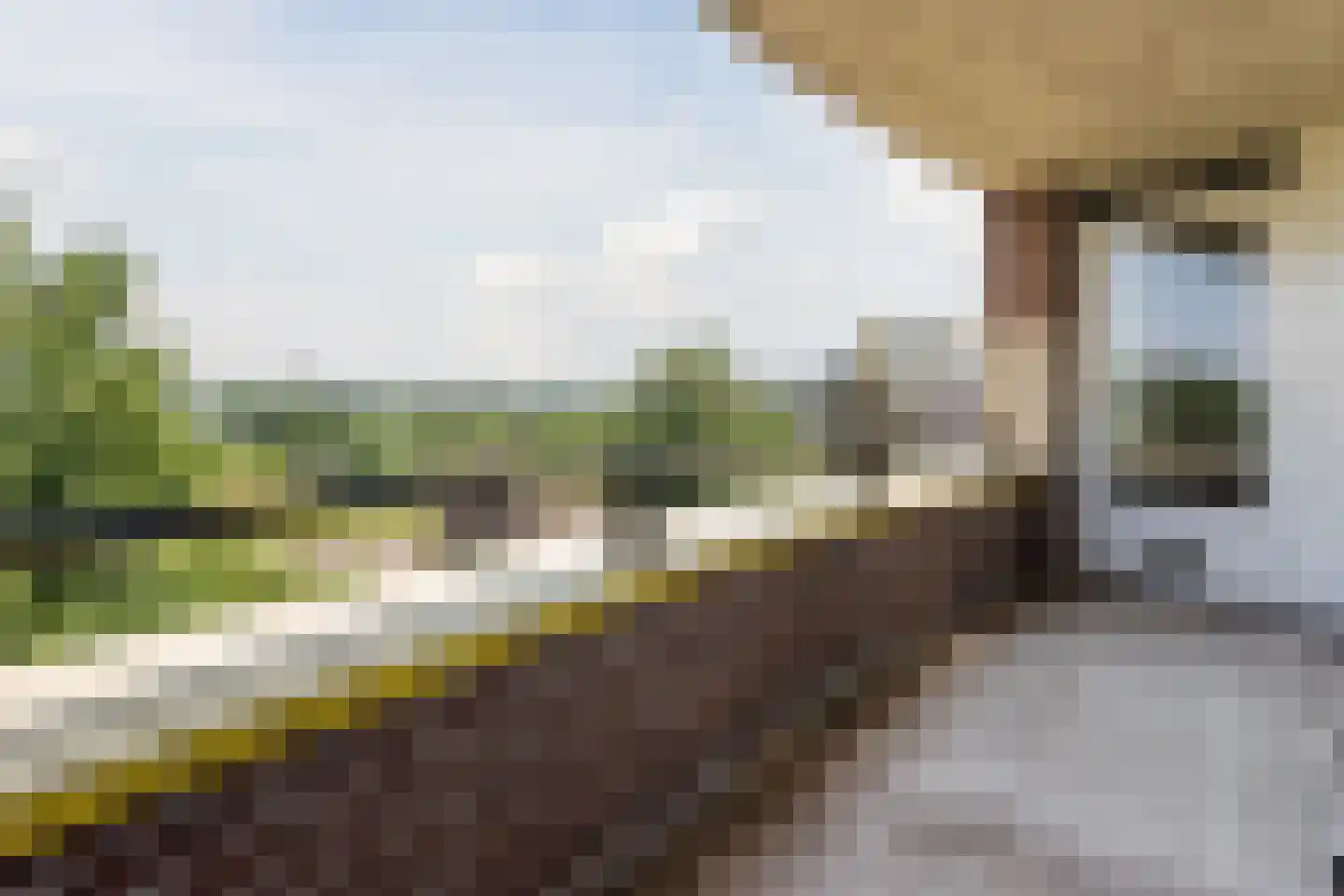 Bachdreef 87 Harderwijk thumbnail 30