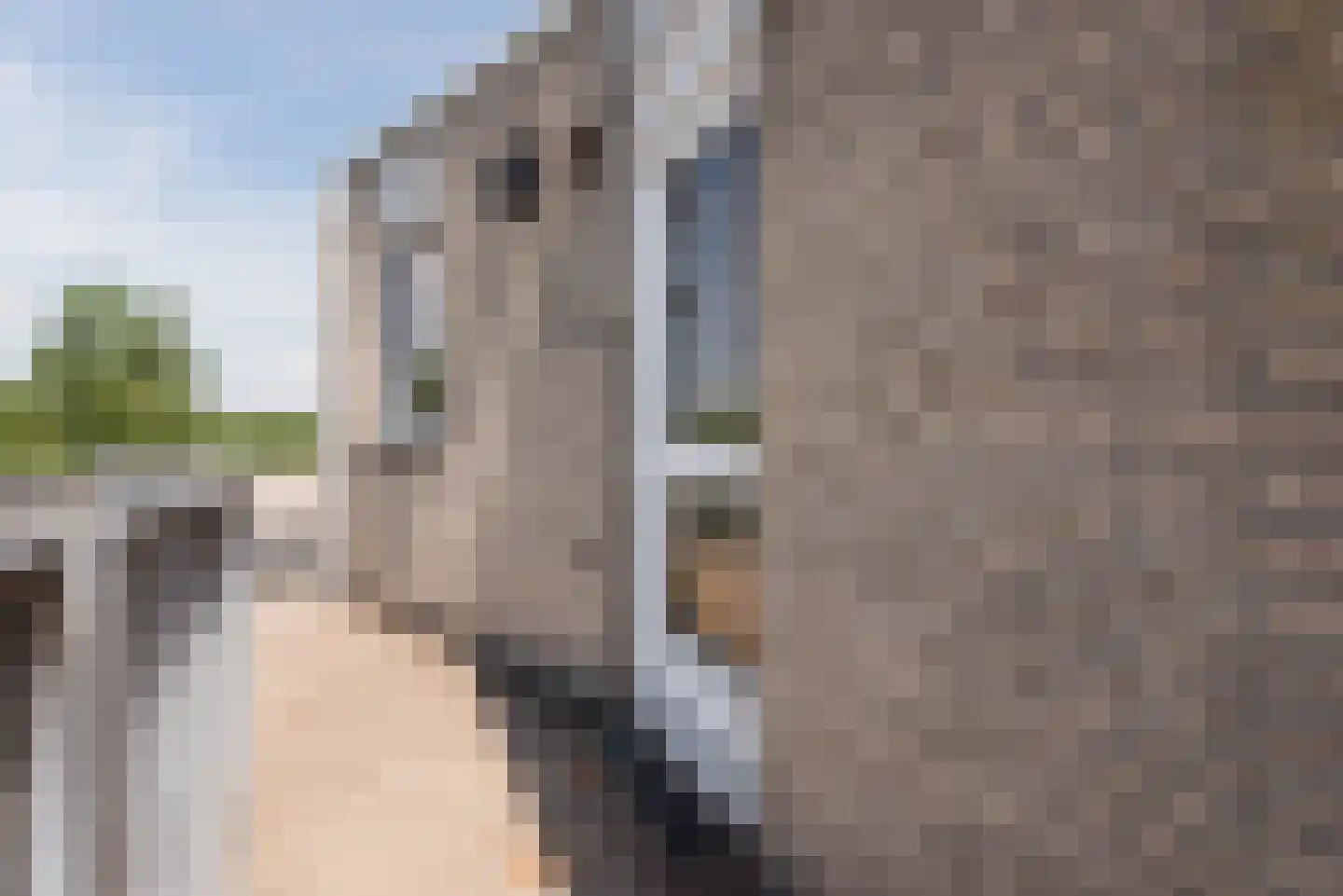 Bachdreef 87 Harderwijk thumbnail 34