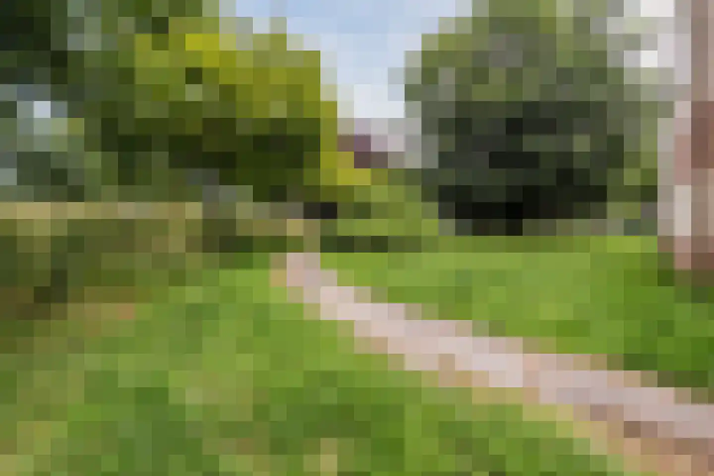 Bachdreef 87 Harderwijk thumbnail 49