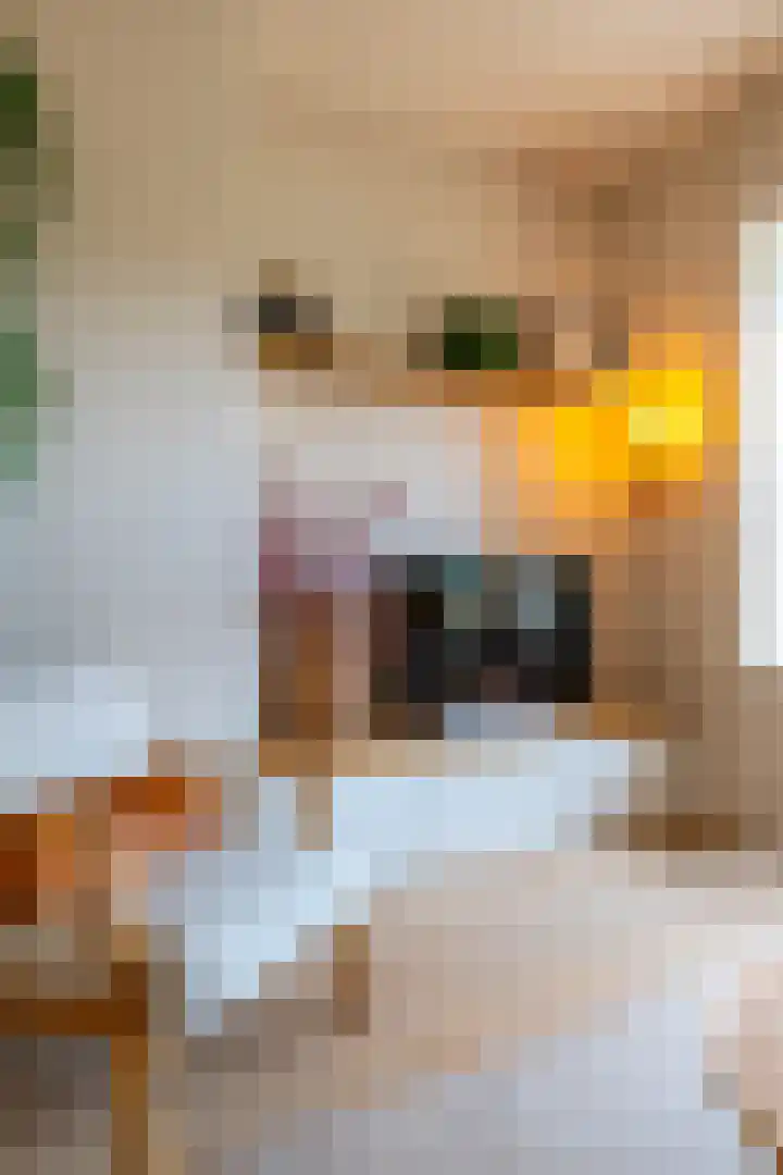 Bachkade 13 Groningen thumbnail 15