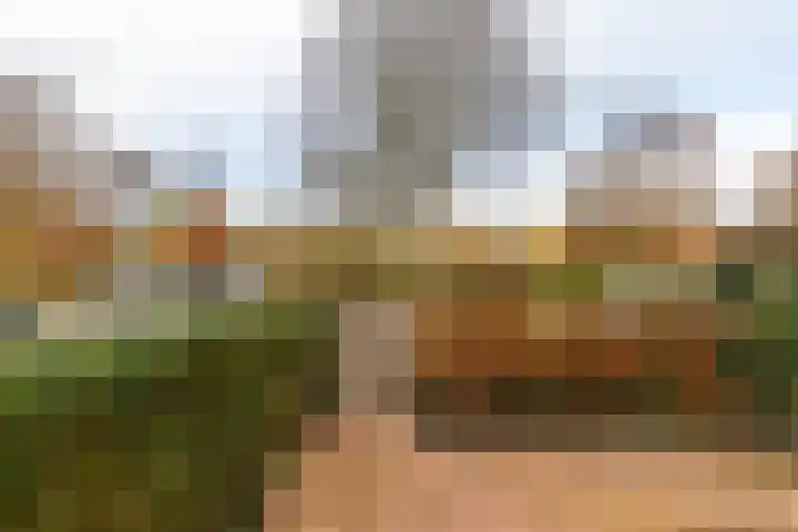 Bachkade 13 Groningen thumbnail 24
