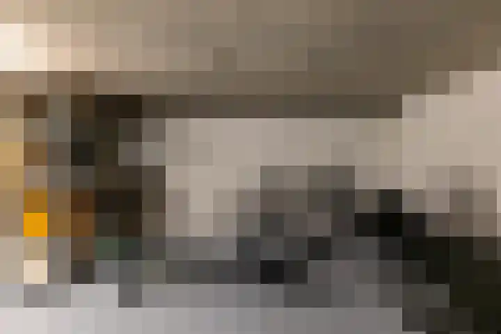 Bachkade 13 Groningen thumbnail 36