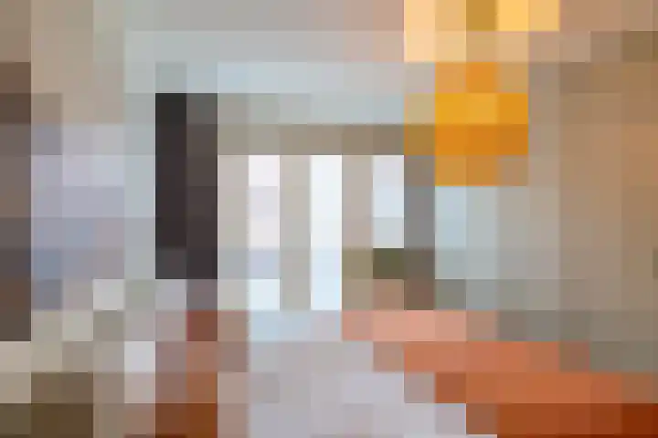 Bachkade 13 Groningen thumbnail 54