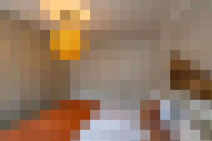Bachkade 13 Groningen thumbnail 56
