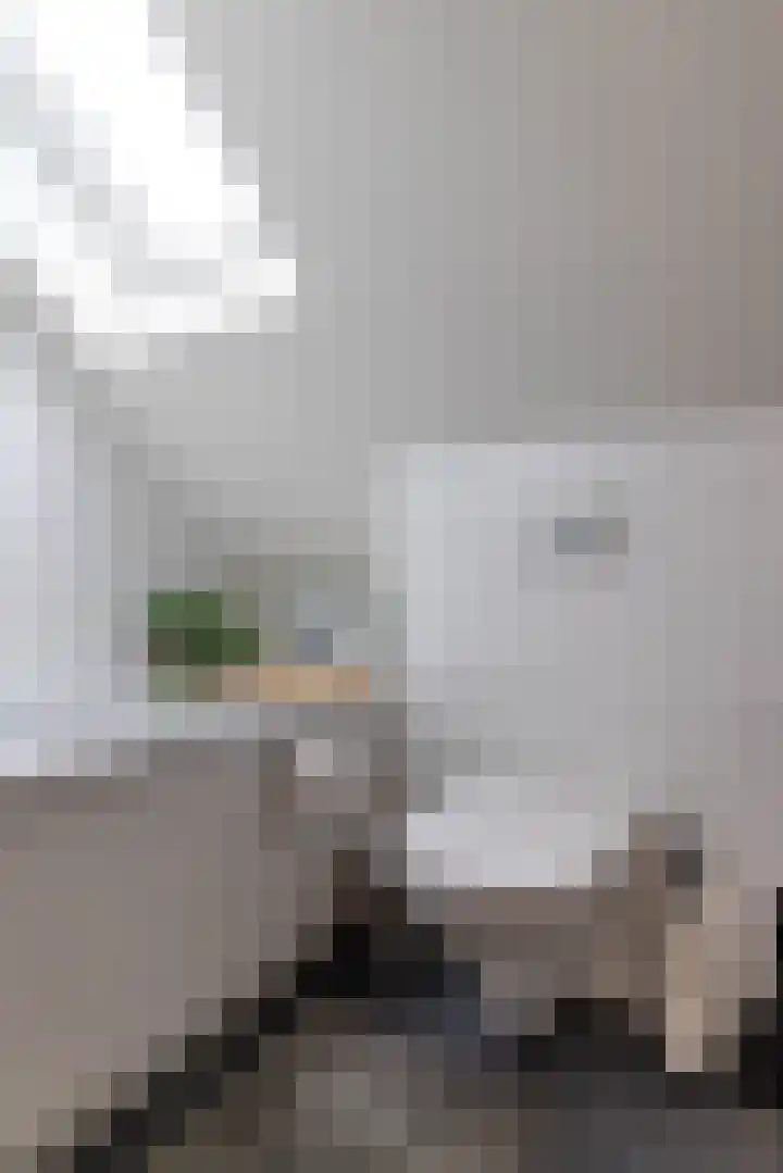 Bachkade 13 Groningen thumbnail 62