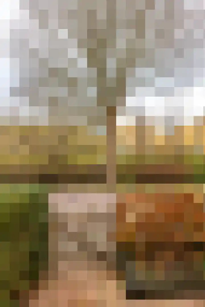 Bachkade 13 Groningen thumbnail 67