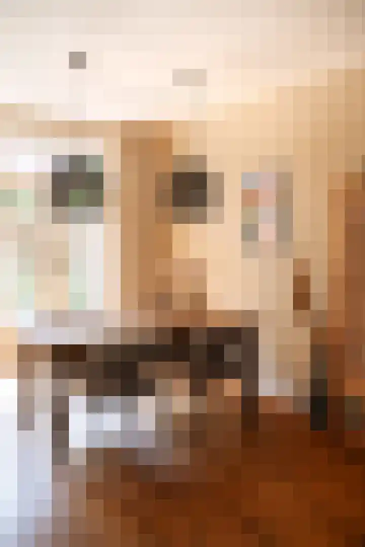 Bachkade 14 Groningen thumbnail 21