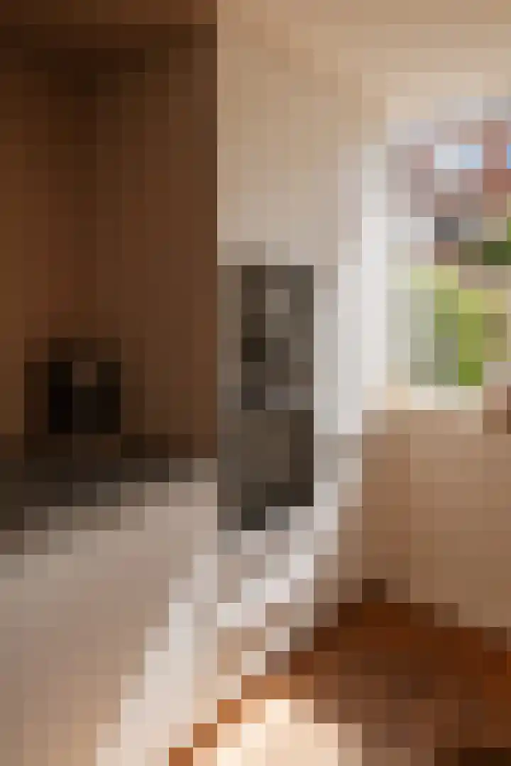 Bachkade 14 Groningen thumbnail 30