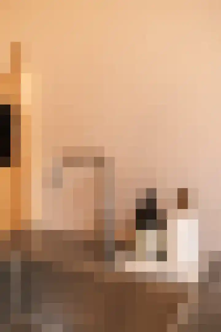 Bachkade 14 Groningen thumbnail 32