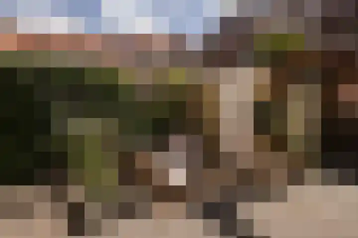 Bachkade 14 Groningen thumbnail 35
