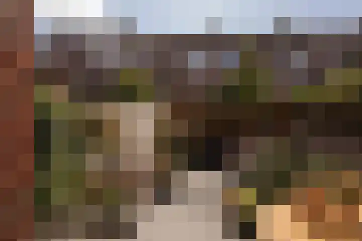 Bachkade 14 Groningen thumbnail 36