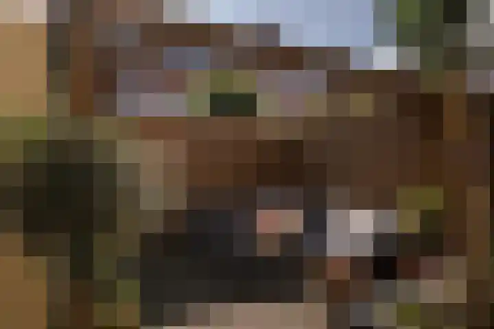 Bachkade 14 Groningen thumbnail 37