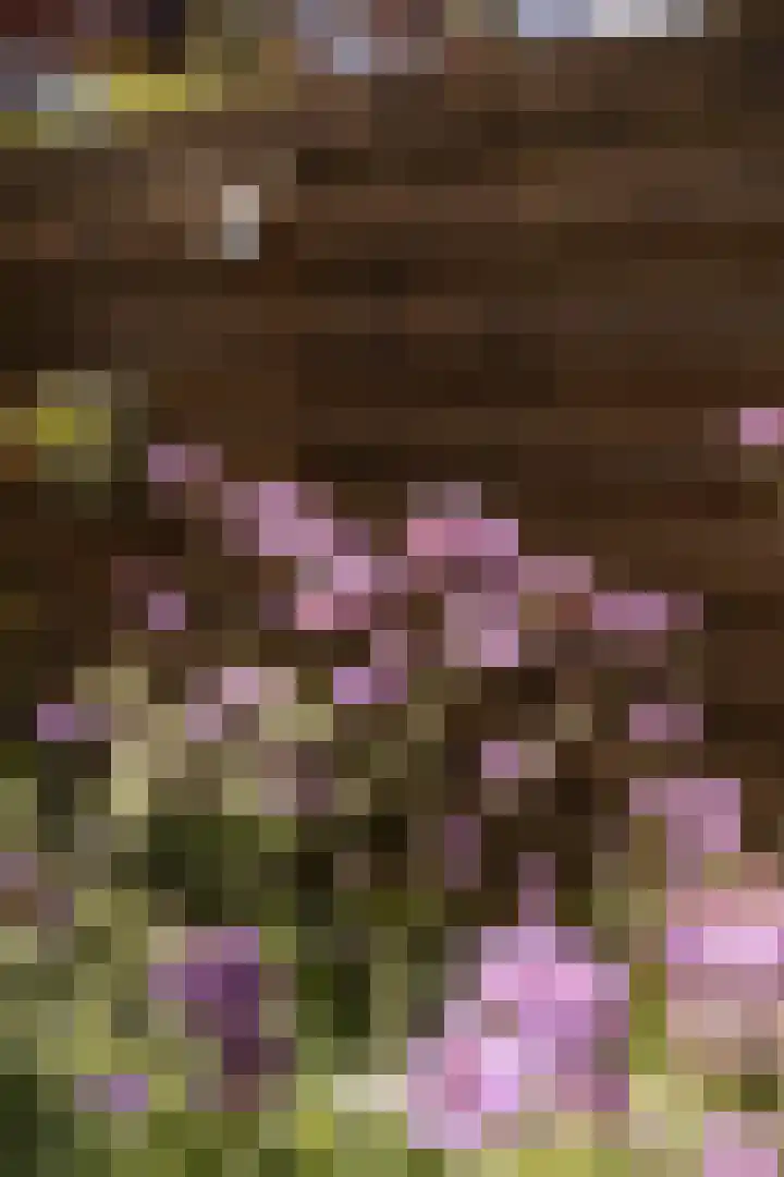 Bachkade 14 Groningen thumbnail 42