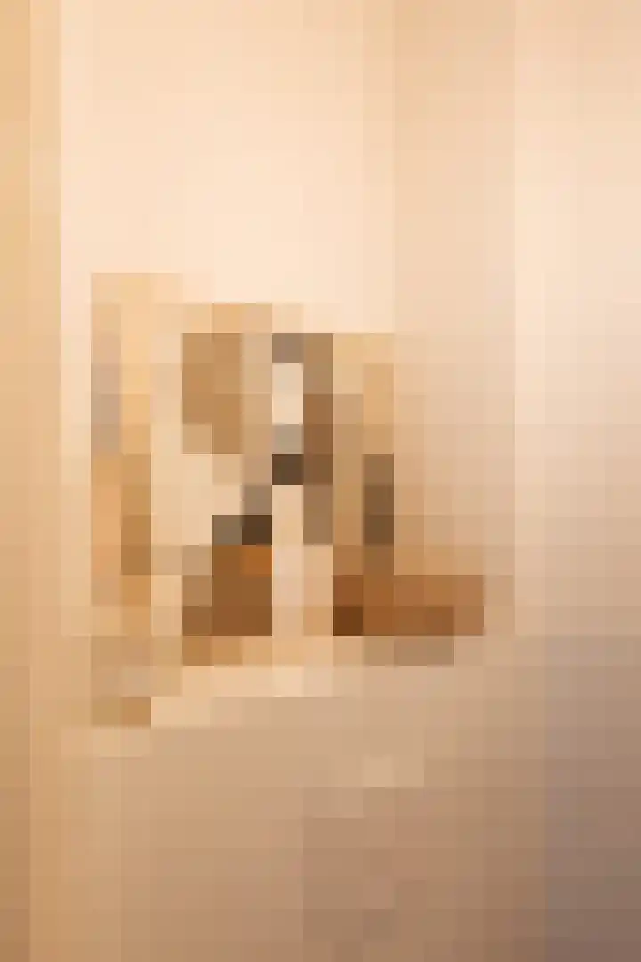 Bachkade 14 Groningen thumbnail 44