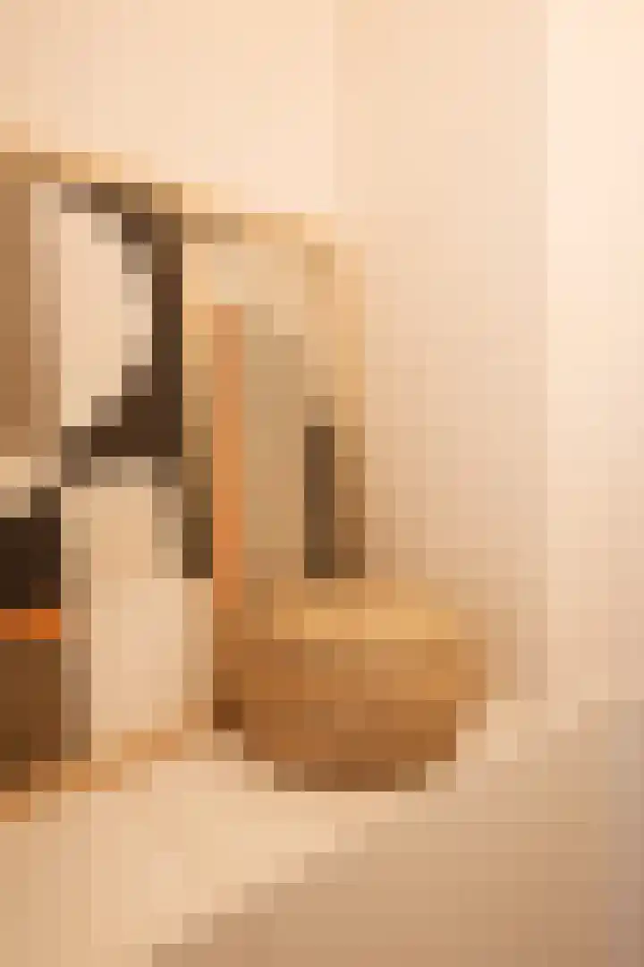 Bachkade 14 Groningen thumbnail 45