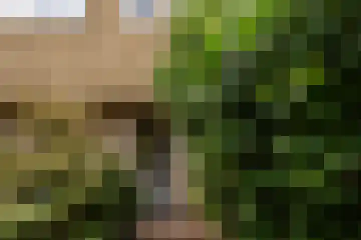 Bachkade 14 Groningen thumbnail 5
