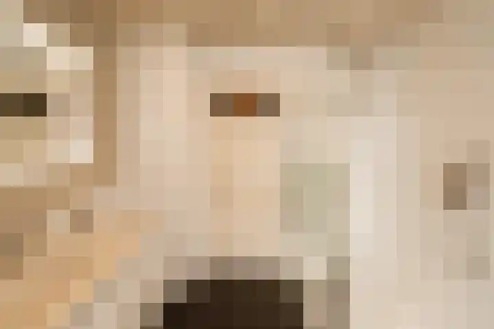 Bachkade 14 Groningen thumbnail 62