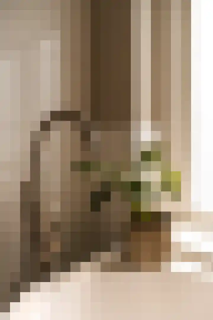 Bachkade 14 Groningen thumbnail 64