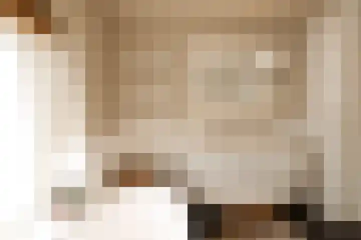 Bachkade 14 Groningen thumbnail 66