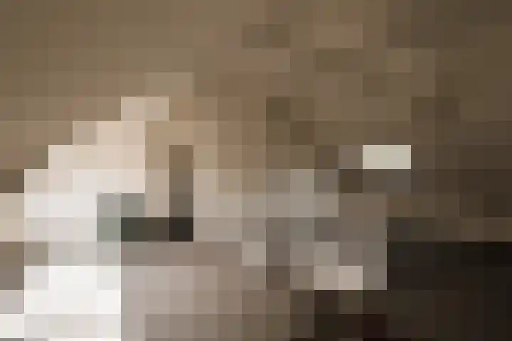 Bachkade 14 Groningen thumbnail 69
