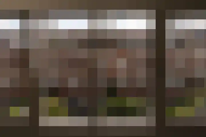 Bachkade 14 Groningen thumbnail 70