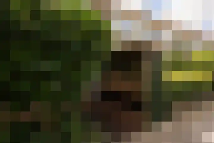 Bachkade 14 Groningen thumbnail 74