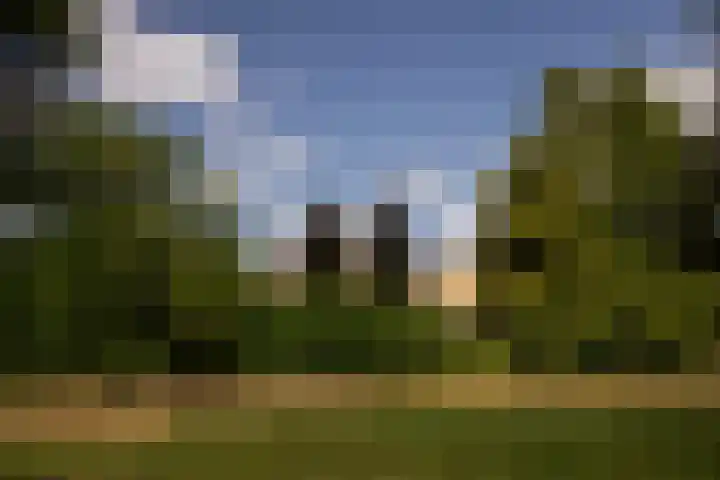 Bachkade 14 Groningen thumbnail 75